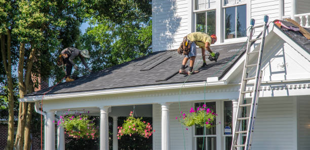 Roof Gutter Cleaning in Jan Phyl Village, FL